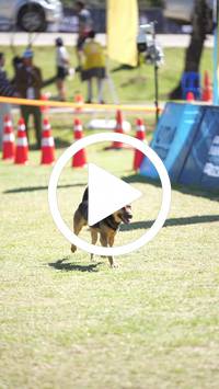 BIB:  <button type="button" onclick="openModal(26587145)" class="btn btn-primary btn-sm float-right" data-toggle="modal" data-target=".modal-high-quality">
                <i class="fa fa-download"></i> Download
                </button>